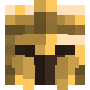 precilock face